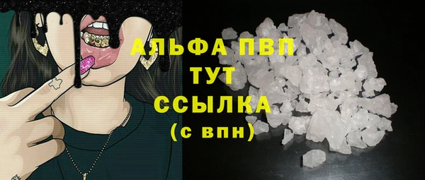 трава Ельня
