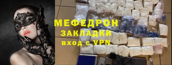 трава Ельня
