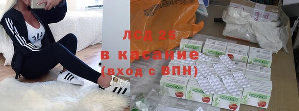 трава Ельня