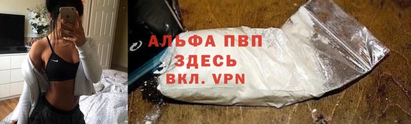 трава Ельня
