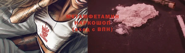 трава Ельня