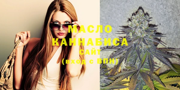 трава Ельня