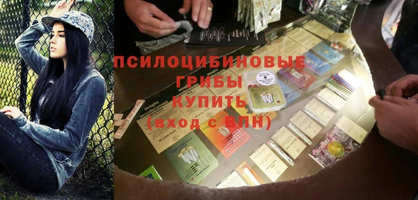 трава Ельня