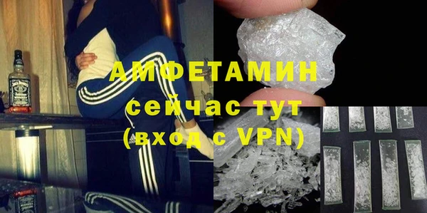 трава Ельня